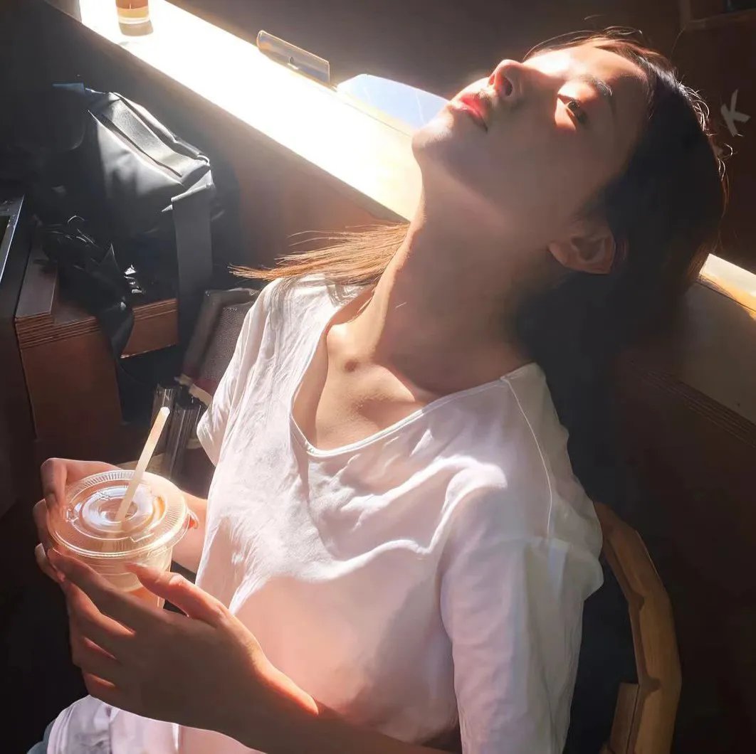 一条狗的回家路
