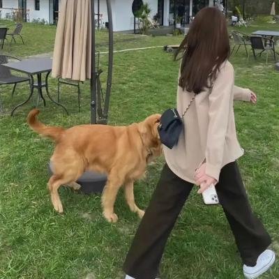 不完美逃脱