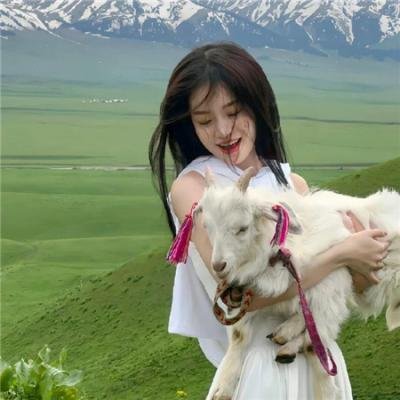 翻转追缉令